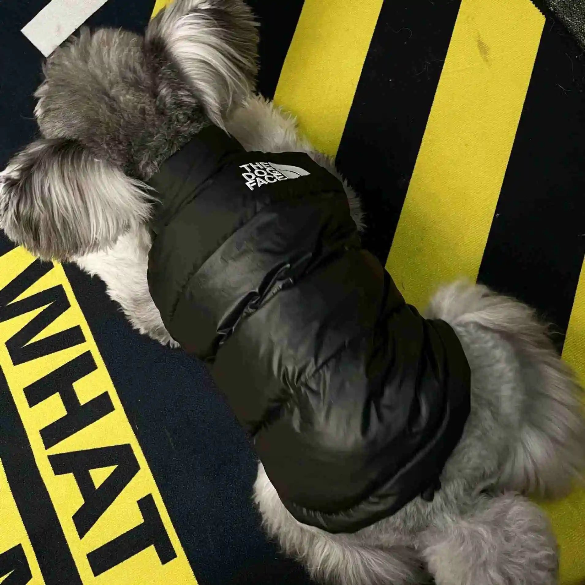 Luxury Pet Coat Cotton Dog Vest Thicken Warm Jacket for Dog Waterproof Dog Vest Designer Pet Clothes