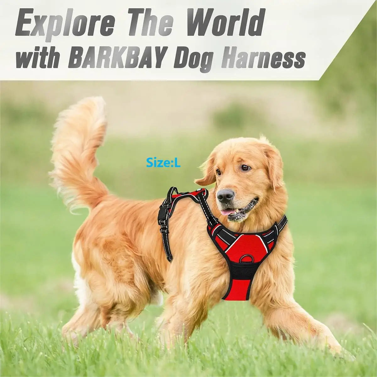 No Pull Dog Harness | Front Clip Heavy Duty Reflective | Easy Control Handle