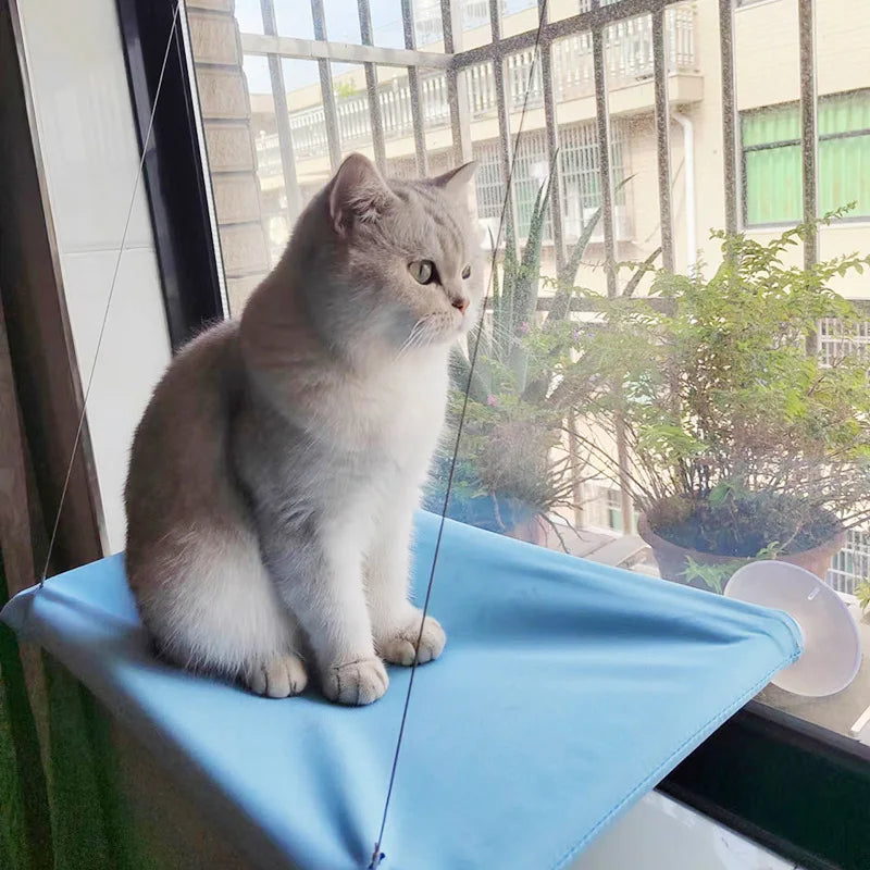 Cat Window Hammock | Sunny Seat Hanging Bed