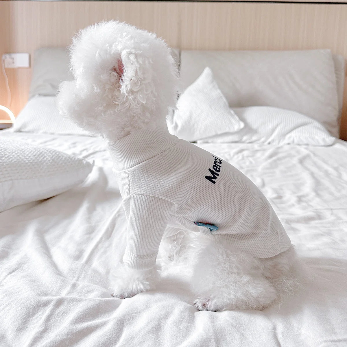 Pet Clothes Dog Cat Out Handsome Cute Letter Bottoming Shirt Soft and Comfortable Spring and Summer