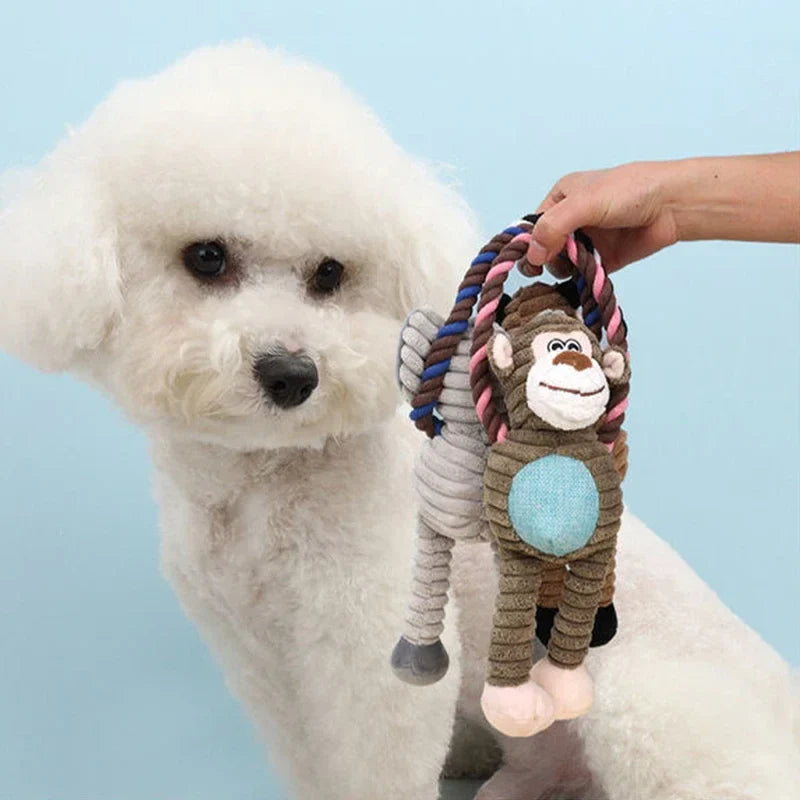 10 Best Interactive Cat Toys for Indoor Cats to Prevent Boredom