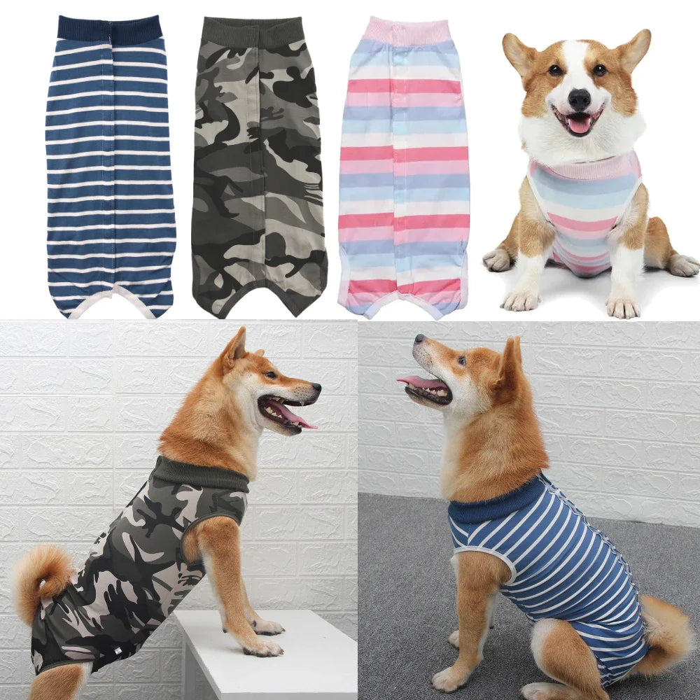 Pet Clothing &amp; Apparel