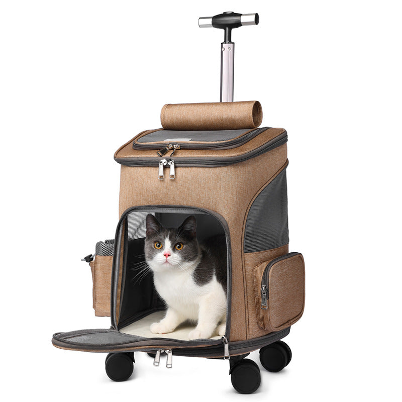 Pet Carriers & Travel Bags