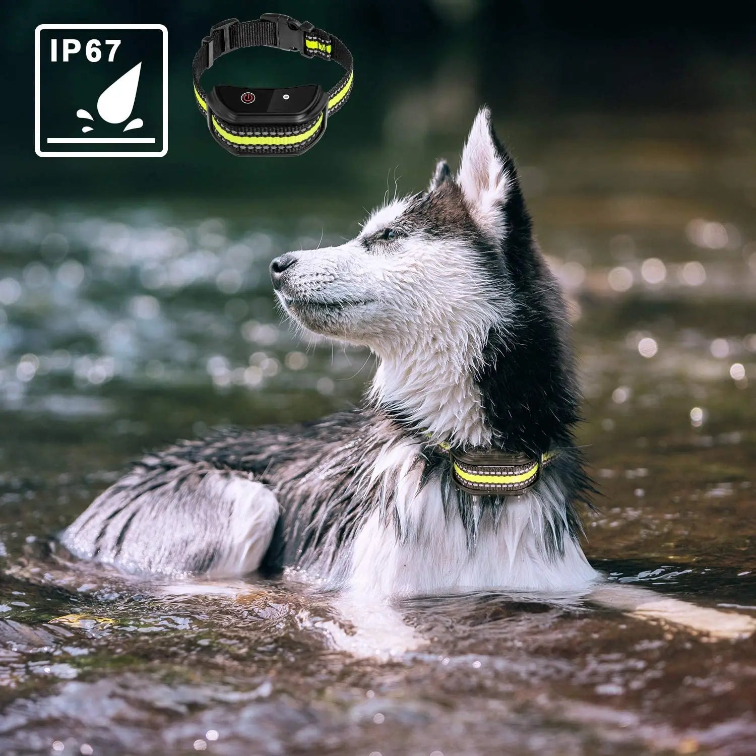 1000ft Pet Dog Training Collar with Remote Rechargeable Waterproof LCD Beep Vibration Shock Collar