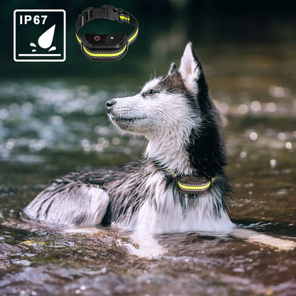 1000ft Pet Dog Training Collar with Remote Rechargeable Waterproof LCD Beep Vibration Shock Collar