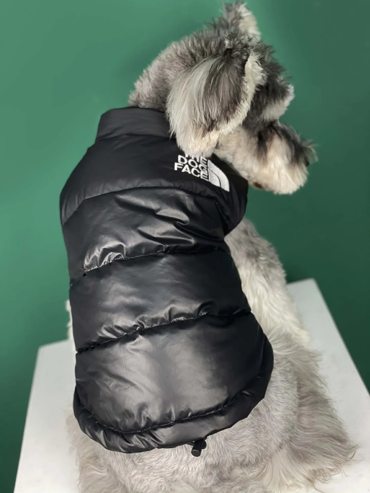Luxury Pet Coat Cotton Dog Vest Thicken Warm Jacket for Dog Waterproof Dog Vest Designer Pet Clothes