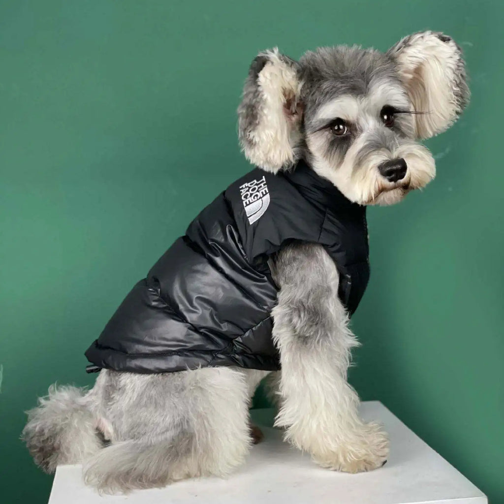 Luxury Pet Coat Cotton Dog Vest Thicken Warm Jacket for Dog Waterproof Dog Vest Designer Pet Clothes