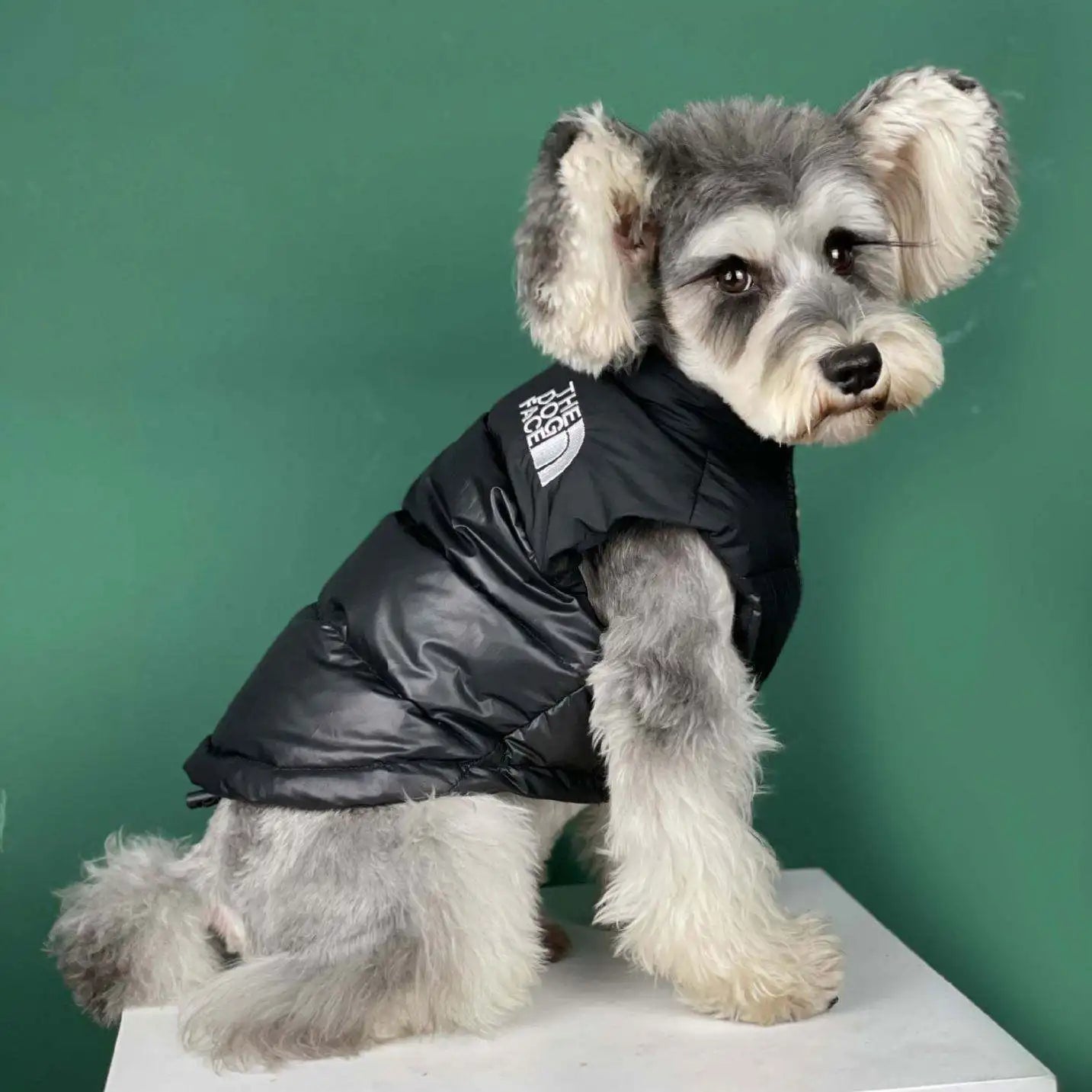 Luxury Pet Coat Cotton Dog Vest Thicken Warm Jacket for Dog Waterproof Dog Vest Designer Pet Clothes