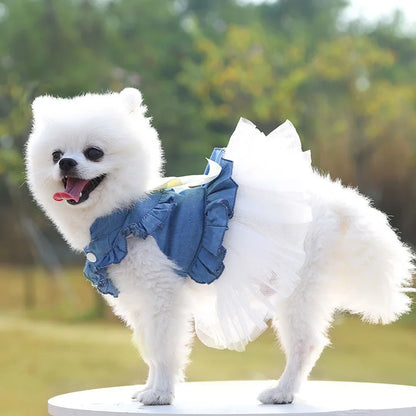 New Luxury Designer Summer Fashion Luxury Dog Dress Breathable Fleece Coat for Dogs Couple Matching Pet Clothes