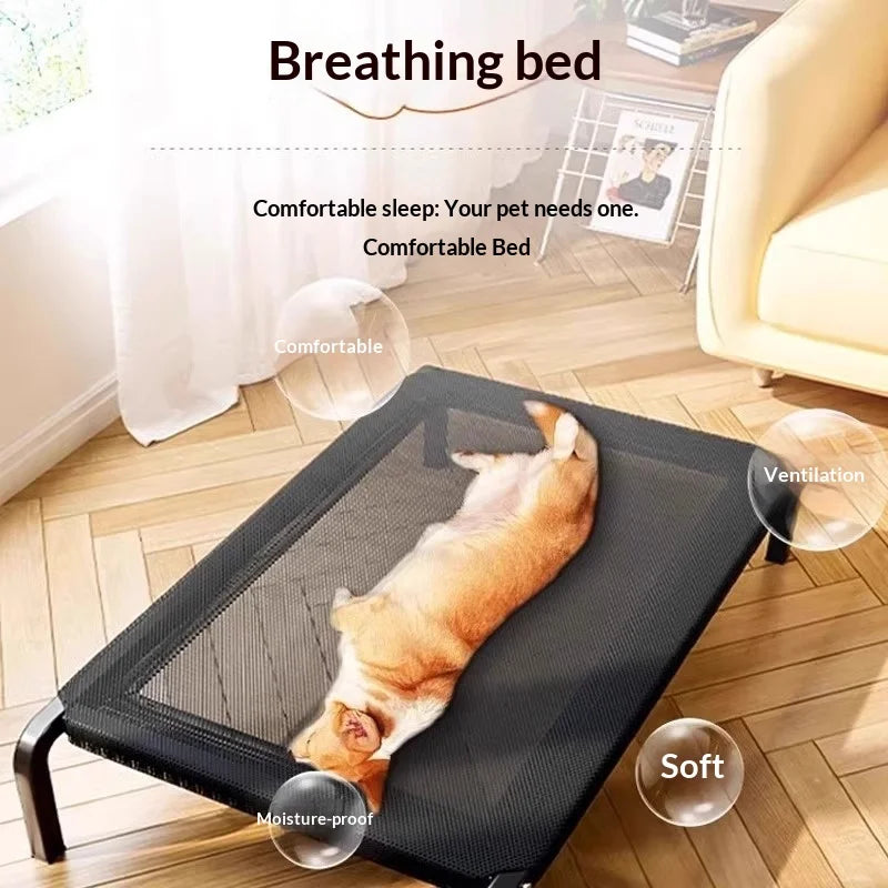 Elevated Dog Bed | All-Season Waterproof Raised Pet Cot for Large & Small Dogs