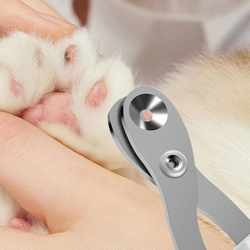 Pet Nail Clippers | Precision Claw Trimmer for Cats & Small Dogs