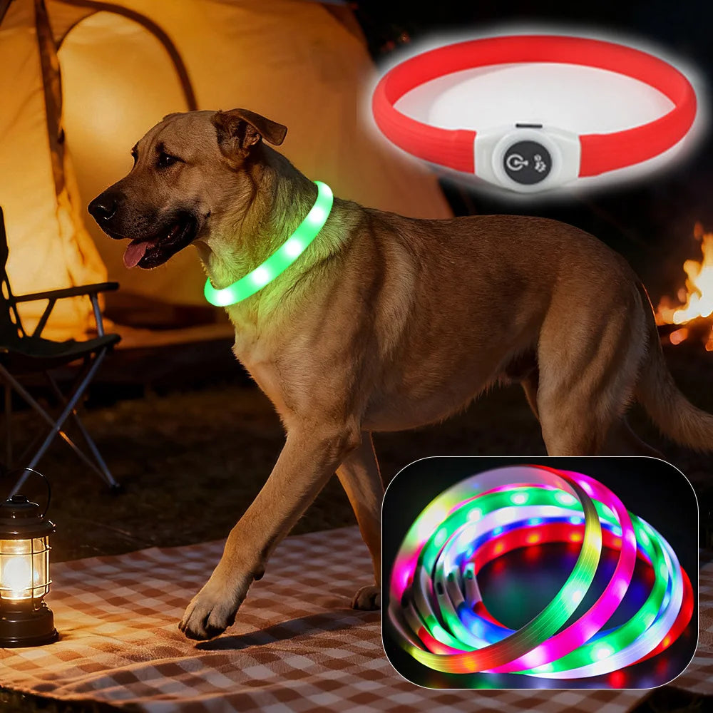 LED Dog Safety Collar | USB Rechargeable, Waterproof & 3 Light Modes