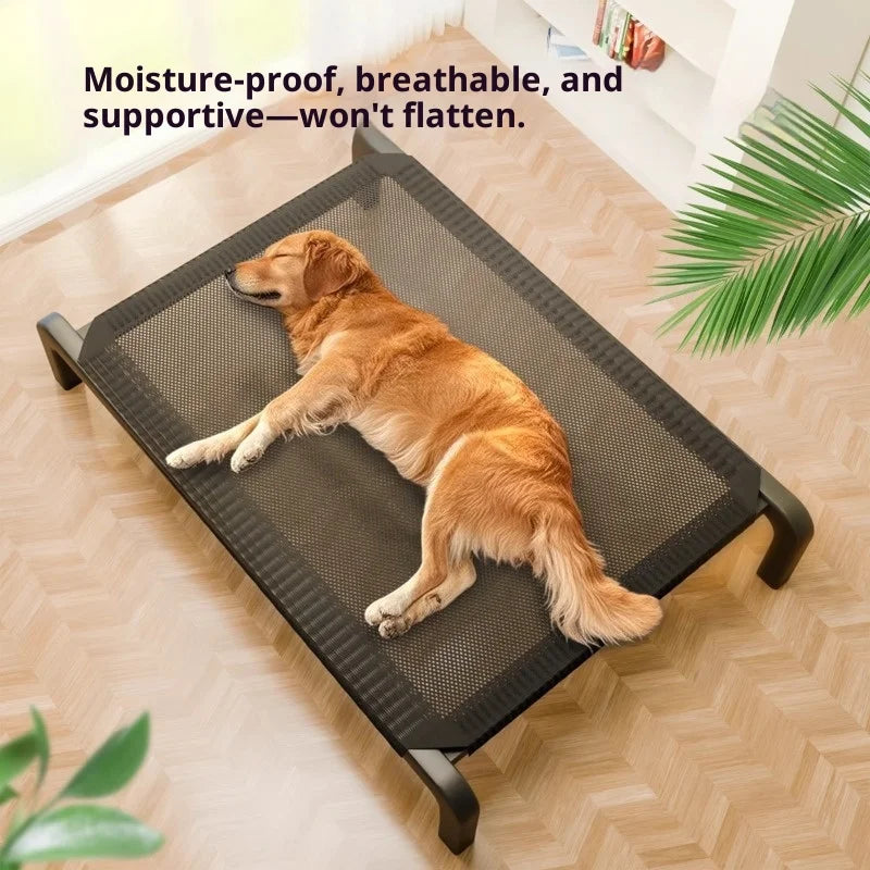 Elevated Dog Bed | All-Season Waterproof Raised Pet Cot for Large & Small Dogs