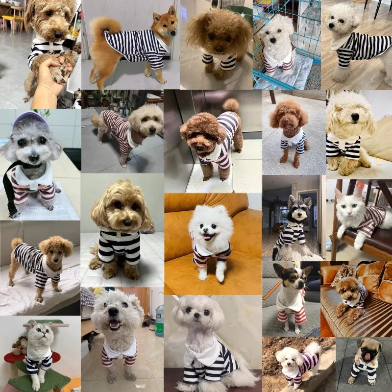 Striped Summer Shirt for Small Dogs & Cats