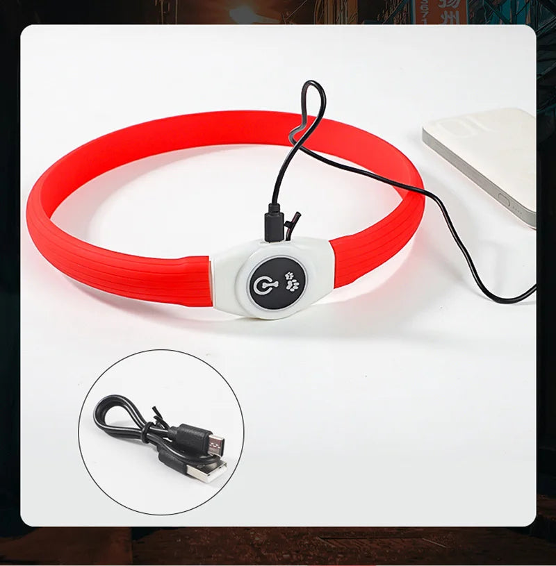 LED Dog Safety Collar | USB Rechargeable, Waterproof & 3 Light Modes