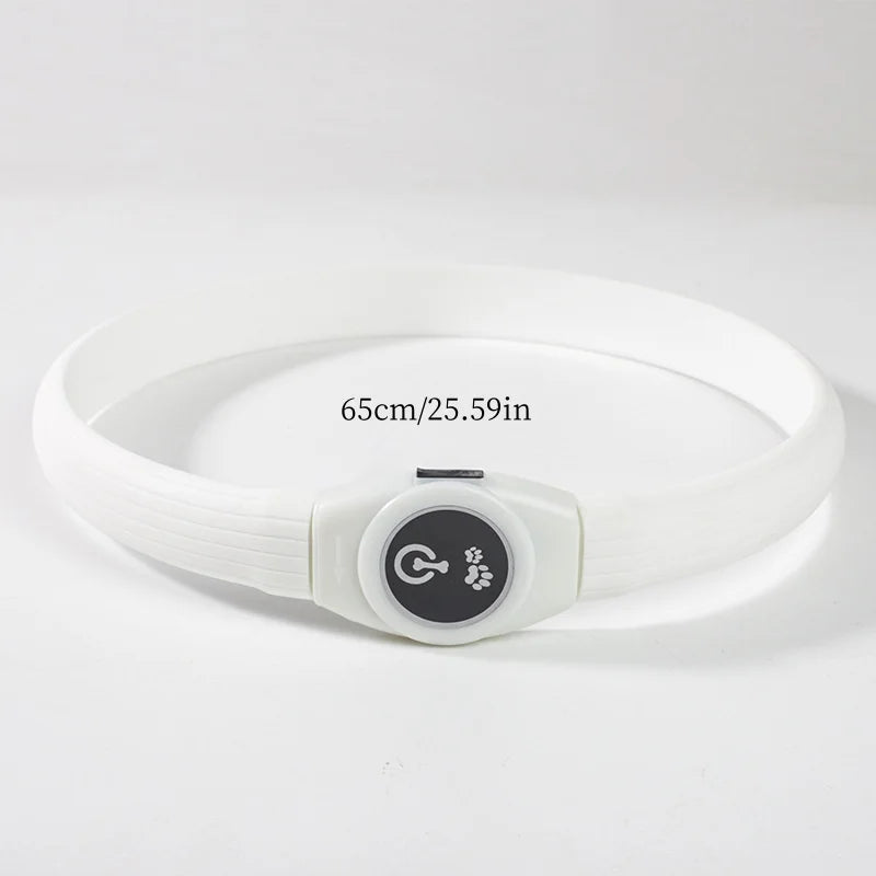 LED Dog Safety Collar | USB Rechargeable, Waterproof & 3 Light Modes