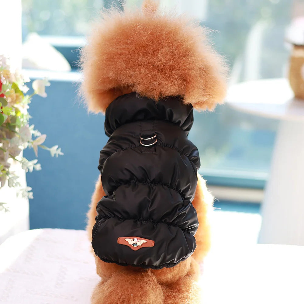 Soft Warm Dog Winter Jacket | Padded Coat for Small & Medium Dogs