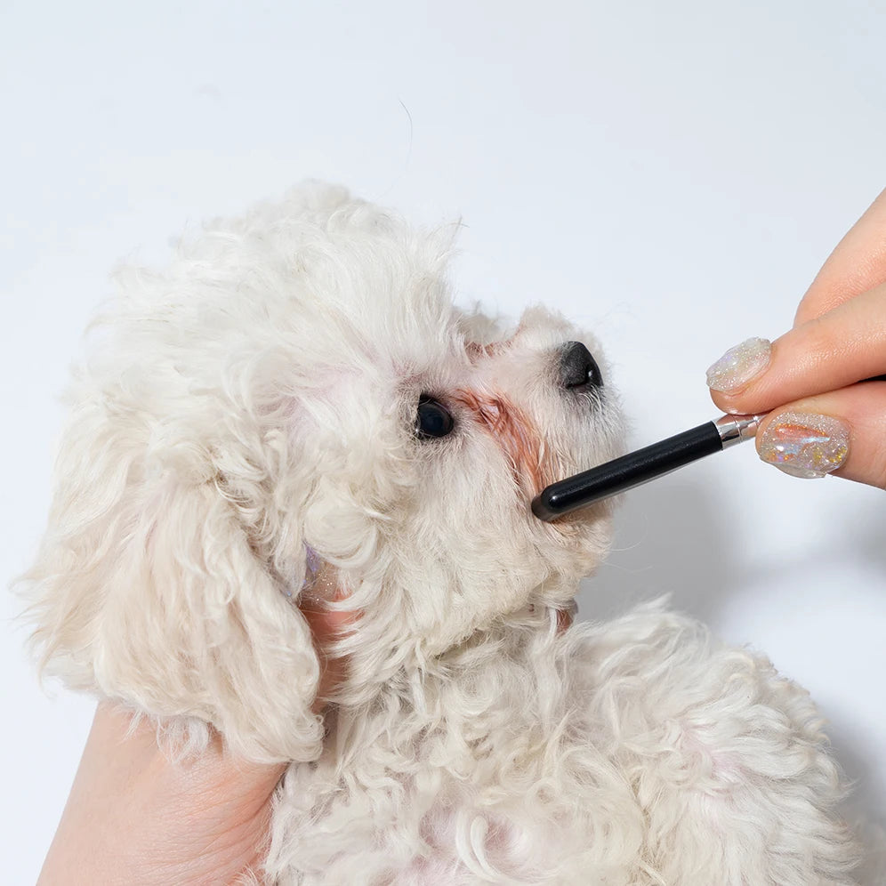 Pet Facial Cleaning Comb Set | Tear Stain Remover & Grooming Tool for Cats & Dogs