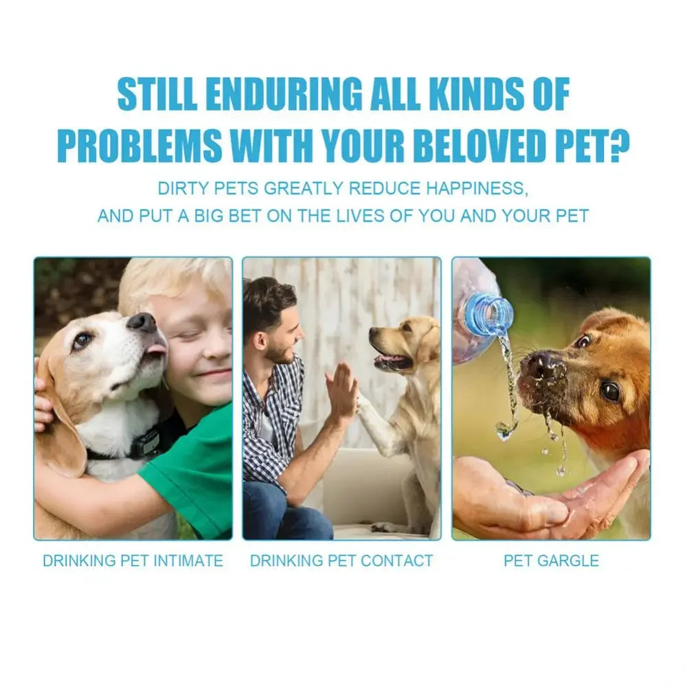Pet Toothpaste for Dogs &amp; Cats, Edible Oral Care, Fresh Breath, Tartar &amp; Plaque Removal, Teeth Cleaning Pet Products