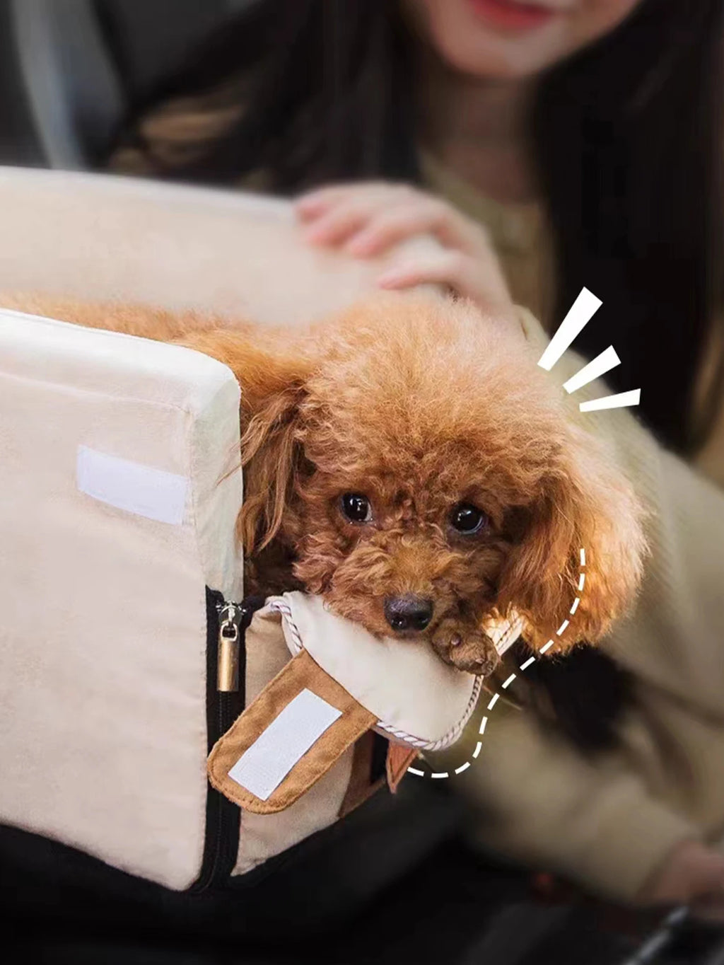 Petdashian Car Dog Bed & Travel Basket | Warm Kennel Sofa for Small Dogs & Cats