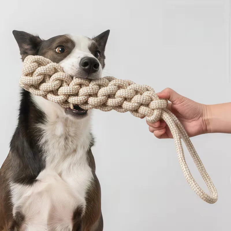3-Piece Interactive Toy Set for Dogs & Cats | Leisure & Entertainment Bundle