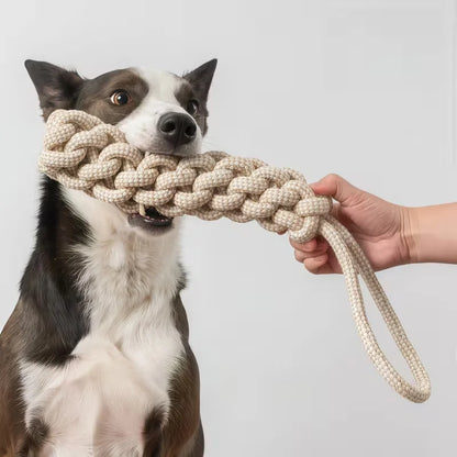 3-Piece Interactive Toy Set for Dogs &amp; Cats | Leisure &amp; Entertainment Bundle
