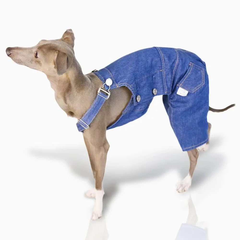 Adjustable Wool Coat for Italian Greyhounds & Whippets