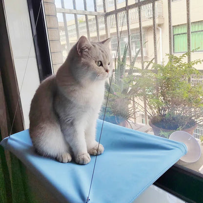 Cat Window Hammock | Sunny Seat Hanging Bed