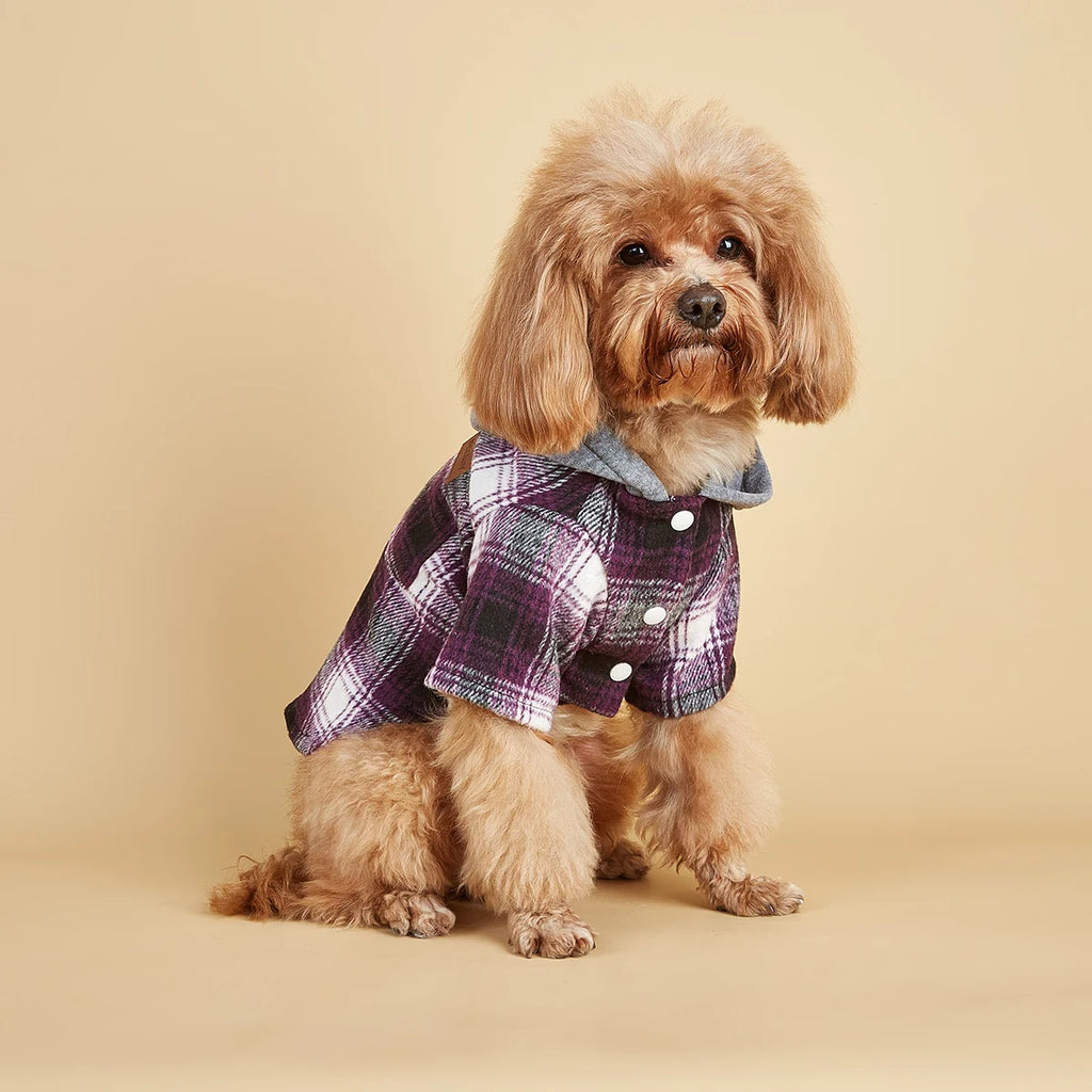 Dog Clothes Hoodie for Small Dogs Costume  Puppy Sweatshirts Classical Plaid Pet Doggie Clothes with Pocket Soft Warm Pet Cats C