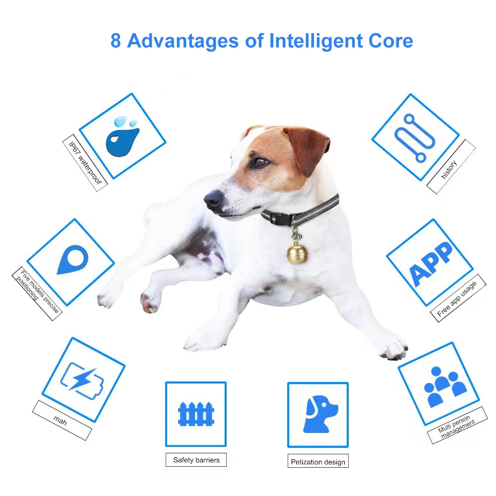 Tracker Pet Tracking for Cat Dog Localizador Gps Rovides You Latest Technology Personalized Solutions Dog Tag Gps