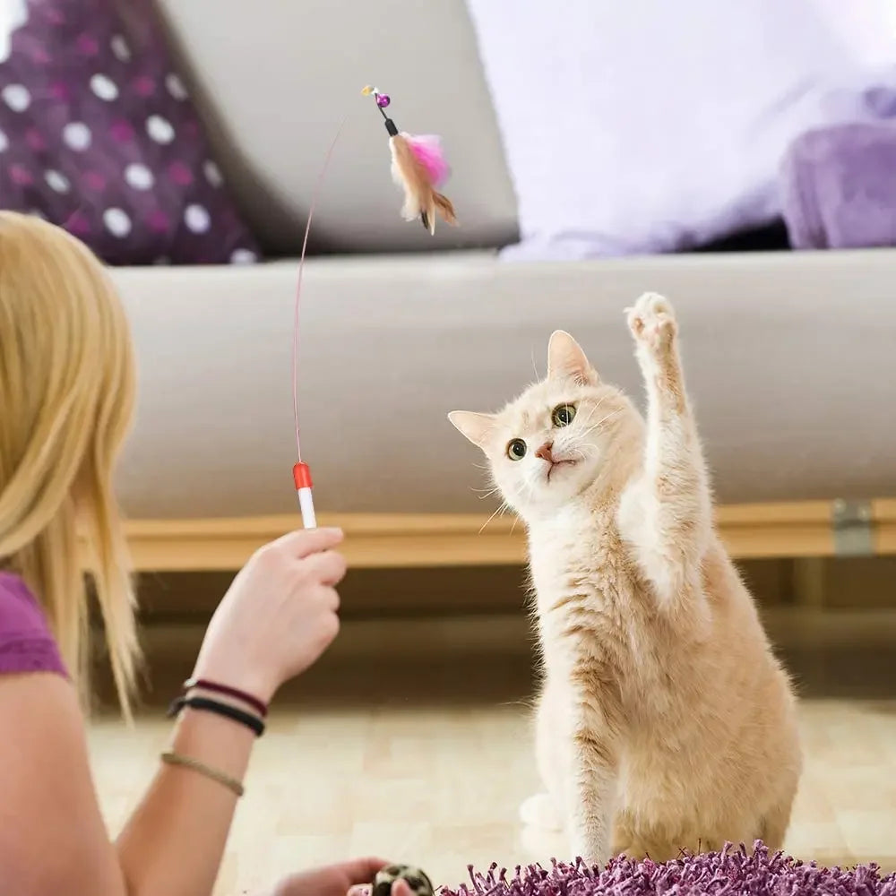 Kitten Toys Variety Pack – Cat Toy Set with Stick, Sisal Mouse & Bell Ball