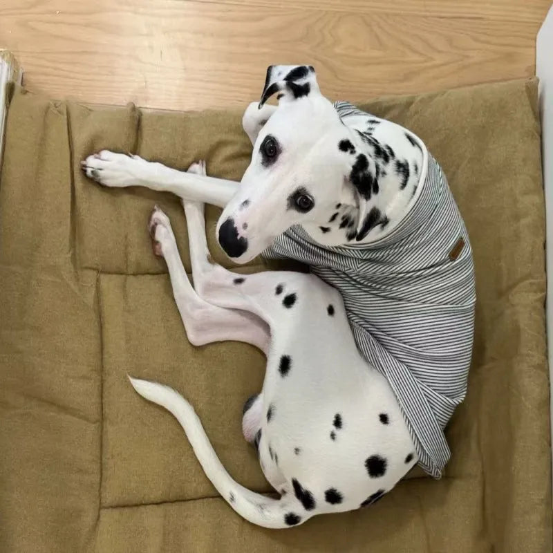Four-Season Cotton Linen Pet Bed Mat | Scratch-Resistant &amp; Washable for Dogs &amp; Cats