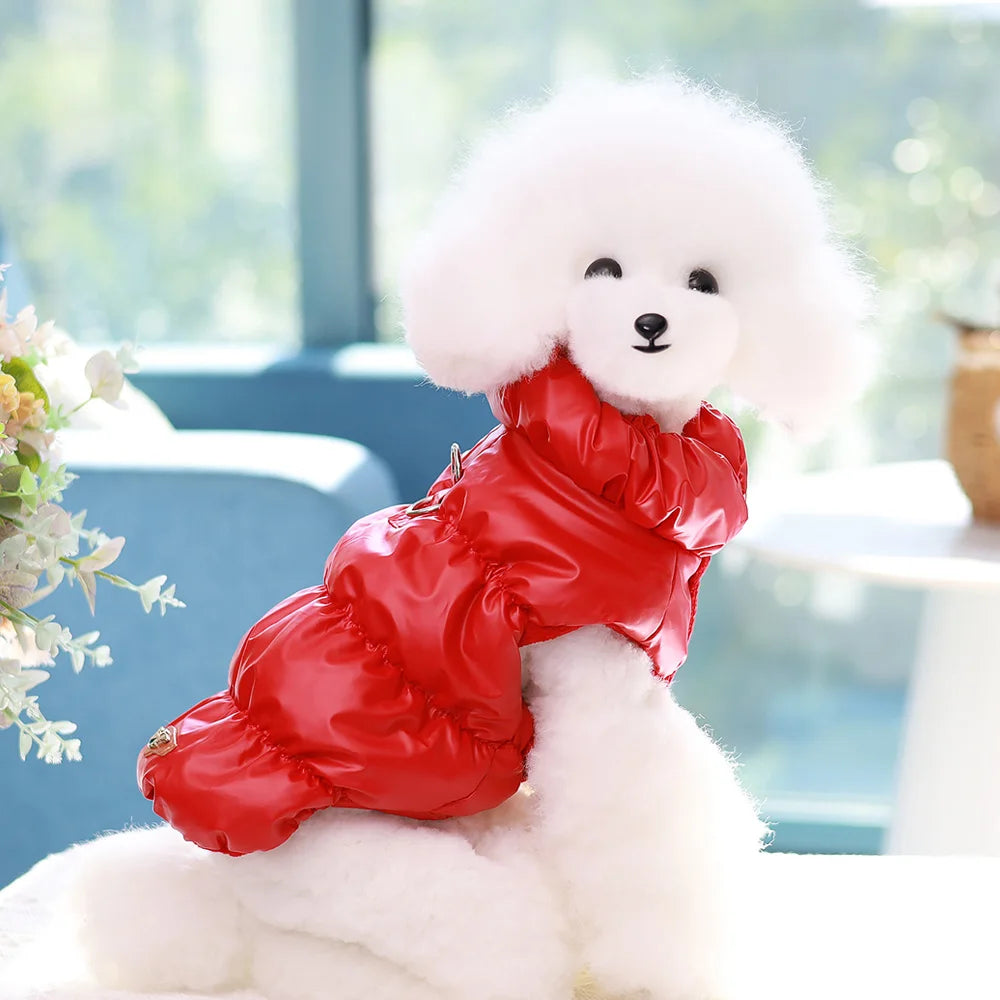 Soft Warm Dog Winter Jacket | Padded Coat for Small & Medium Dogs