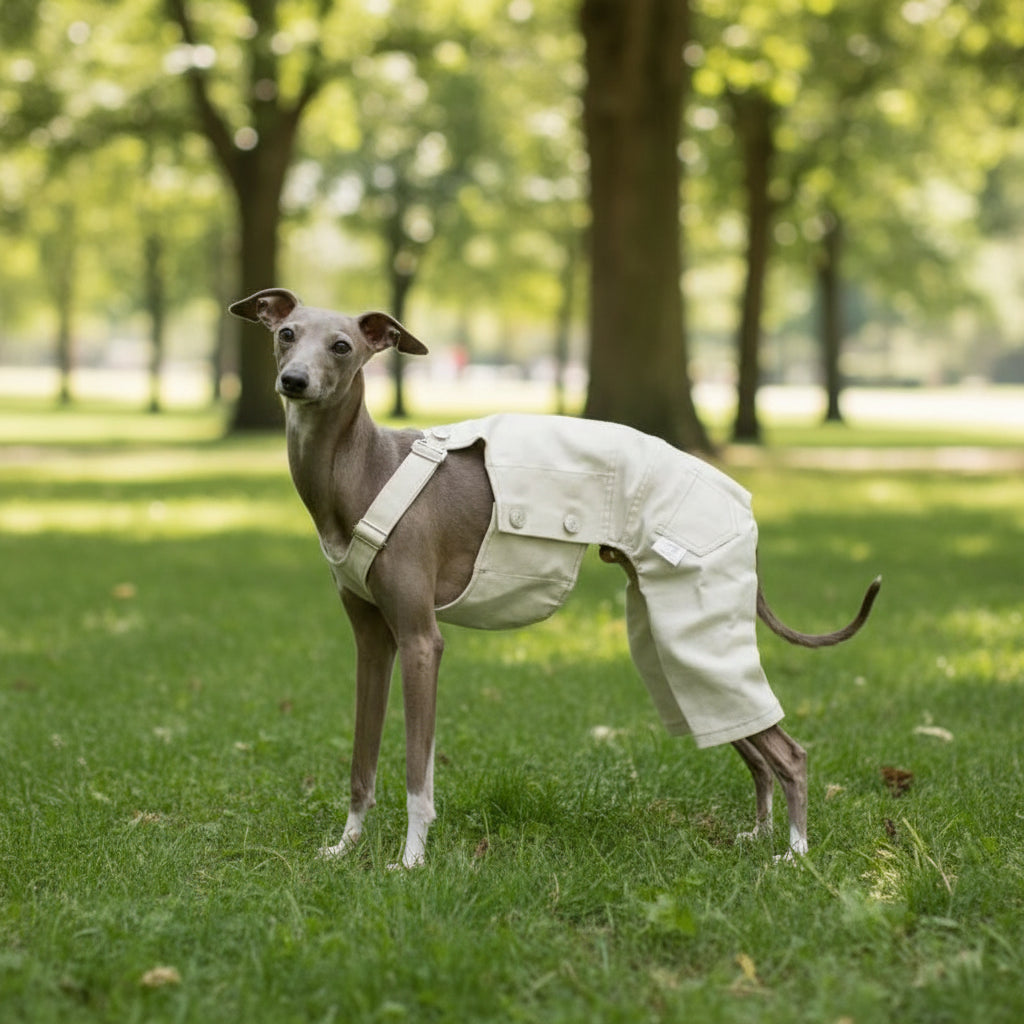 Adjustable Wool Coat for Italian Greyhounds & Whippets