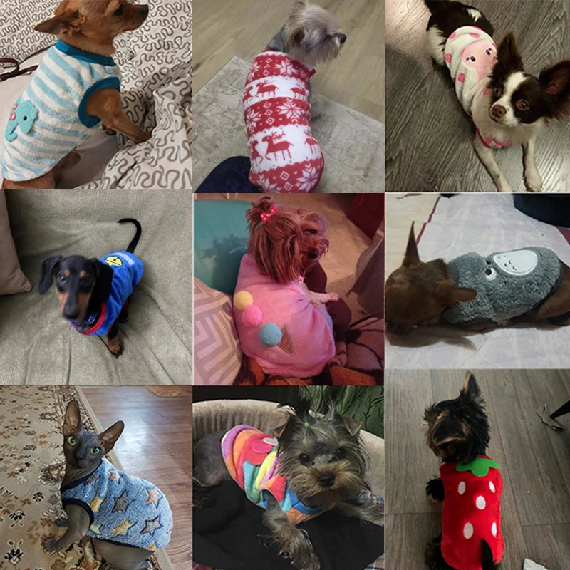 Winter Fleece Vest for Small Dogs & Cats