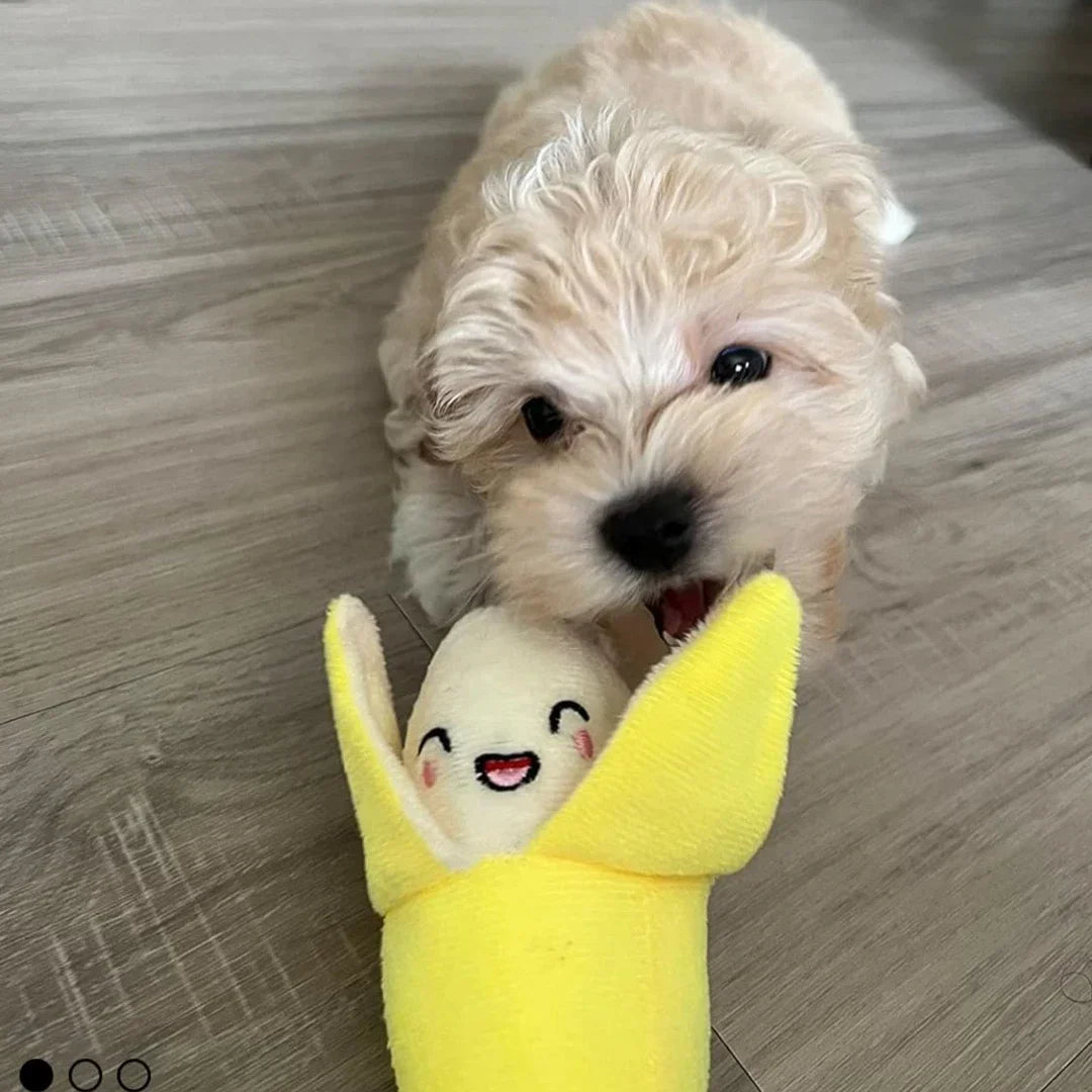 7-Piece Puppy Plush Toy Set – Fruit & Veggie Squeaky Toys