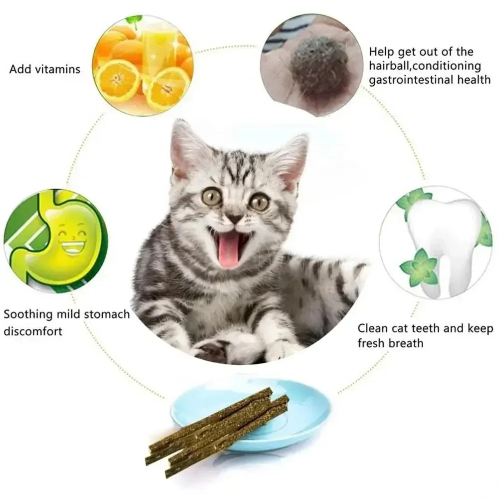 Matatabi Silvervine Cat Sticks | 6-Pack Teeth Cleaning Toy