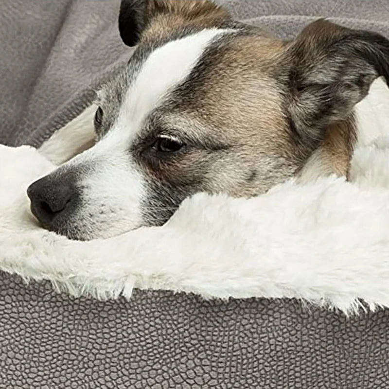 Orthopedic Indoor Pet Sofa Bed | Warm Cushion Kennel for Dogs & Cats