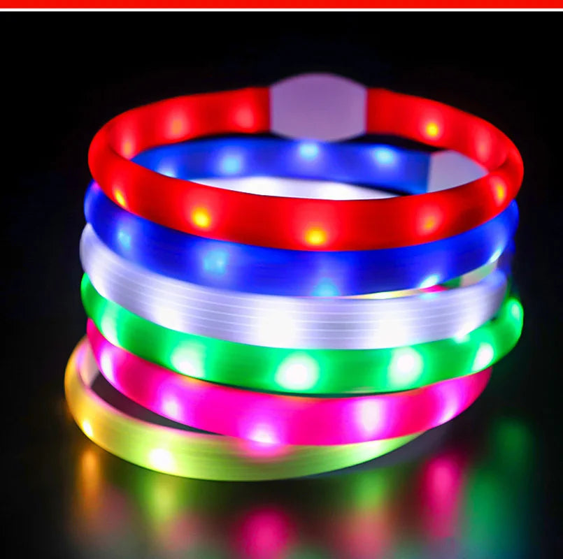 LED Dog Safety Collar | USB Rechargeable, Waterproof & 3 Light Modes