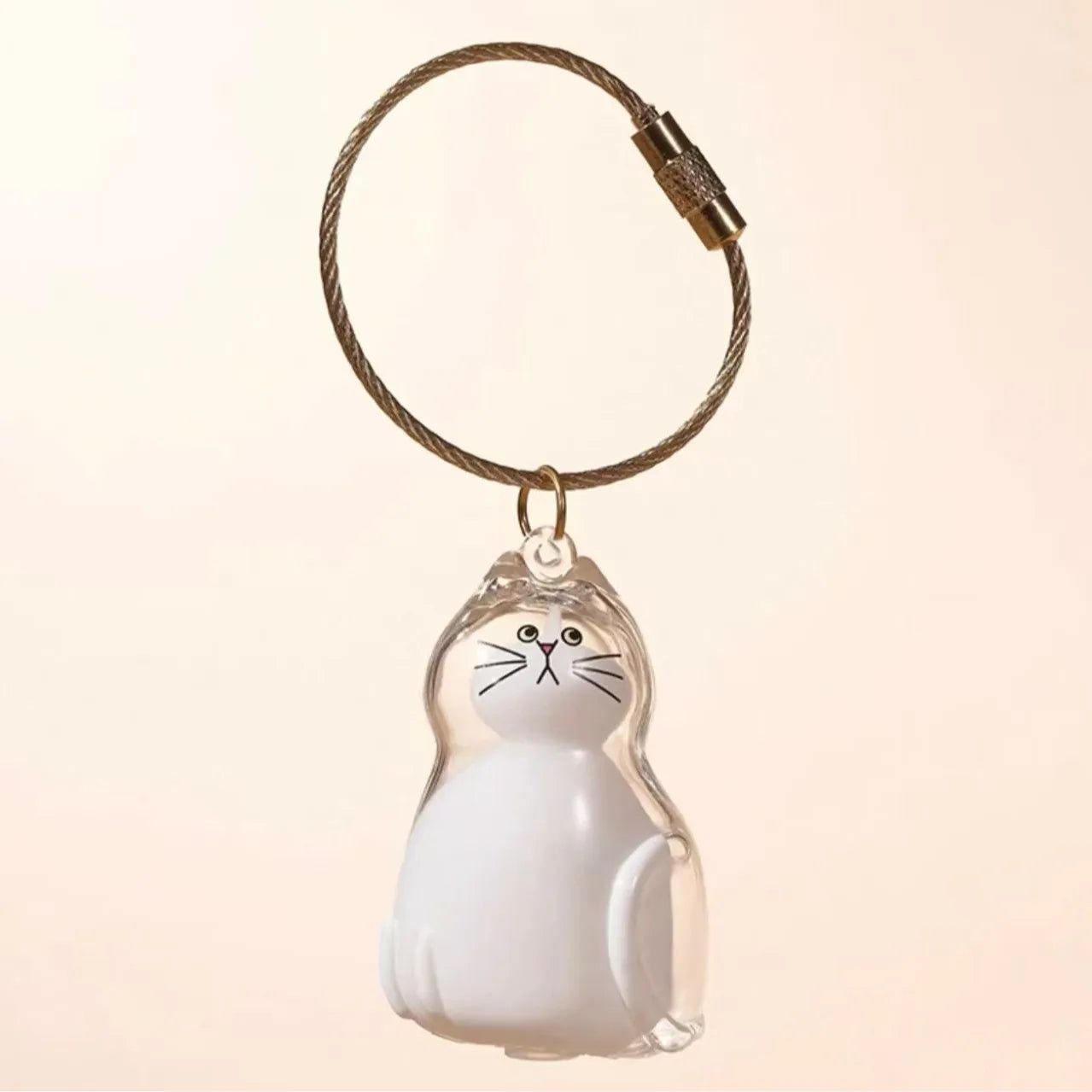 Pet Hair Memorial Resin Keychain