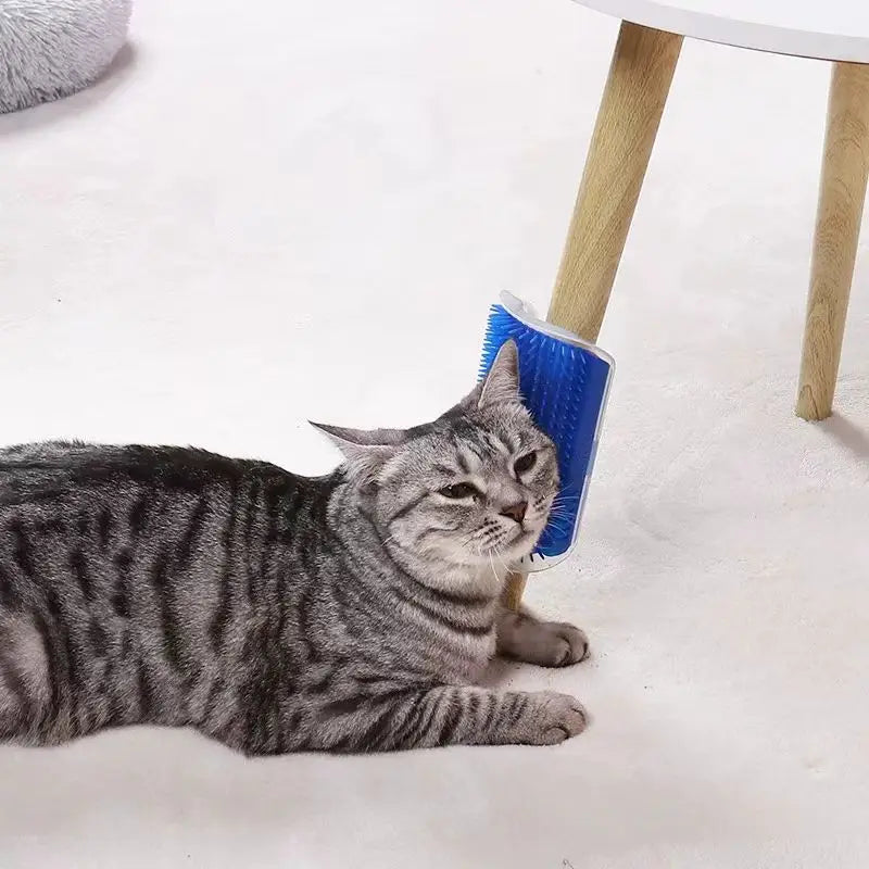 Cat Wall Corner Grooming Brush | Self-Massage &amp; Hair Removal Comb for Cats