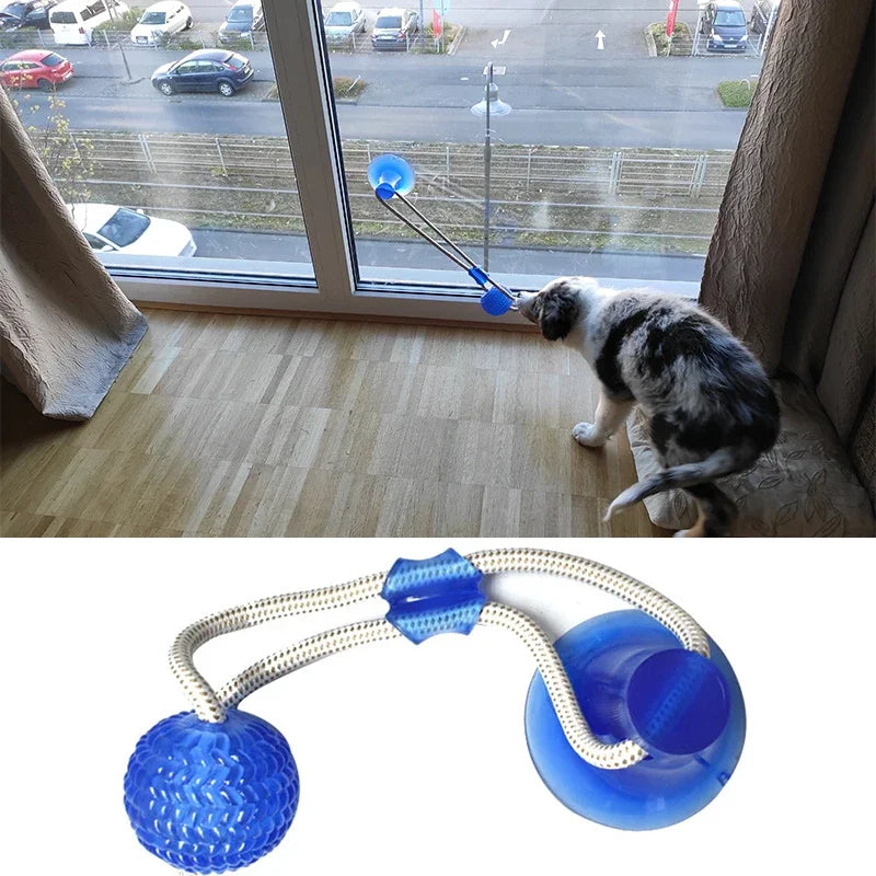 Interactive Suction Cup Dog Chew Toy — TPR Ball with Elastic Rope for Teeth Cleaning