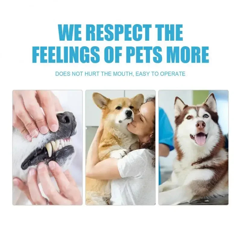 Pet Toothpaste for Dogs &amp; Cats, Edible Oral Care, Fresh Breath, Tartar &amp; Plaque Removal, Teeth Cleaning Pet Products