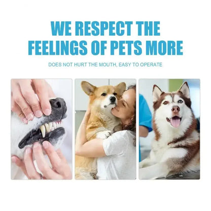 Pet Toothpaste for Dogs &amp; Cats, Edible Oral Care, Fresh Breath, Tartar &amp; Plaque Removal, Teeth Cleaning Pet Products