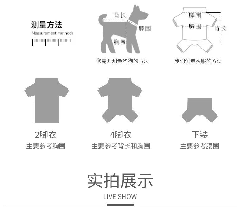 White Bottoming Shirt for Dogs & Cats | Spring Autumn Pet Clothes