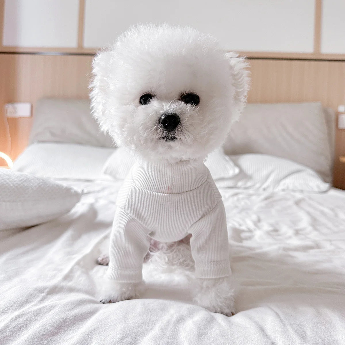 Pet Clothes Dog Cat Out Handsome Cute Letter Bottoming Shirt Soft and Comfortable Spring and Summer