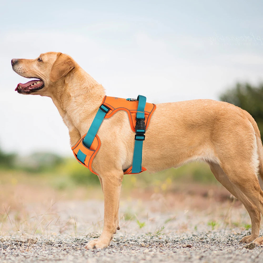 No Pull Dog Harness | Nylon Reflective Vest | Easy Control Handle | Small Medium Large Dogs