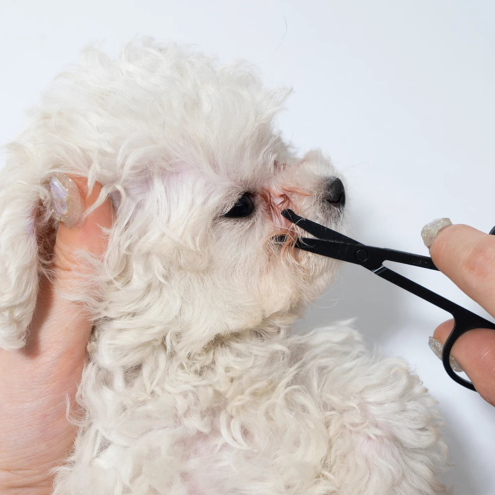 Pet Facial Cleaning Comb Set | Tear Stain Remover & Grooming Tool for Cats & Dogs