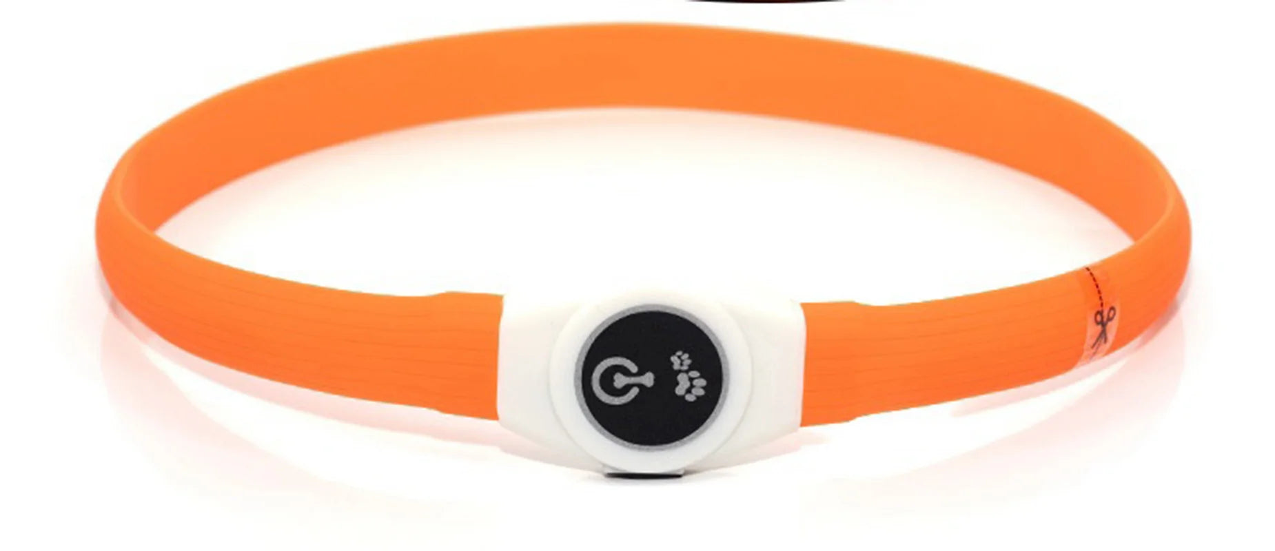 LED Dog Safety Collar | USB Rechargeable, Waterproof & 3 Light Modes
