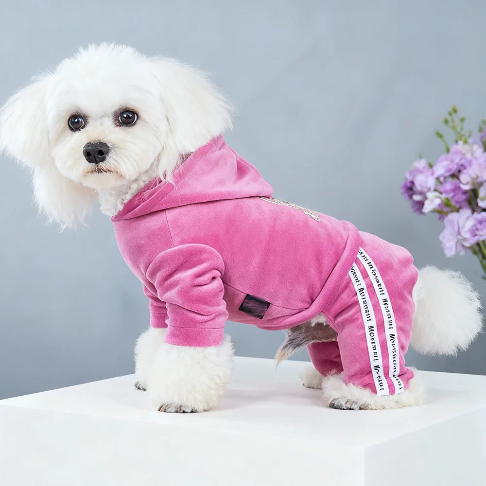 Girl Dog Clothes for Small Dogs | Soft Velvet Puppy Jumpsuit & Cute Pet Outfits